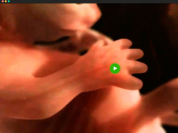 Красивый клип о зачатии и внутриутробном развитии